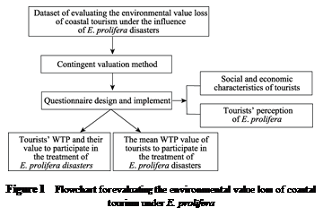 文本框:
Figure 1 Flowchart for evaluating the environmental value loss of coastal tourism under E. prolifera
